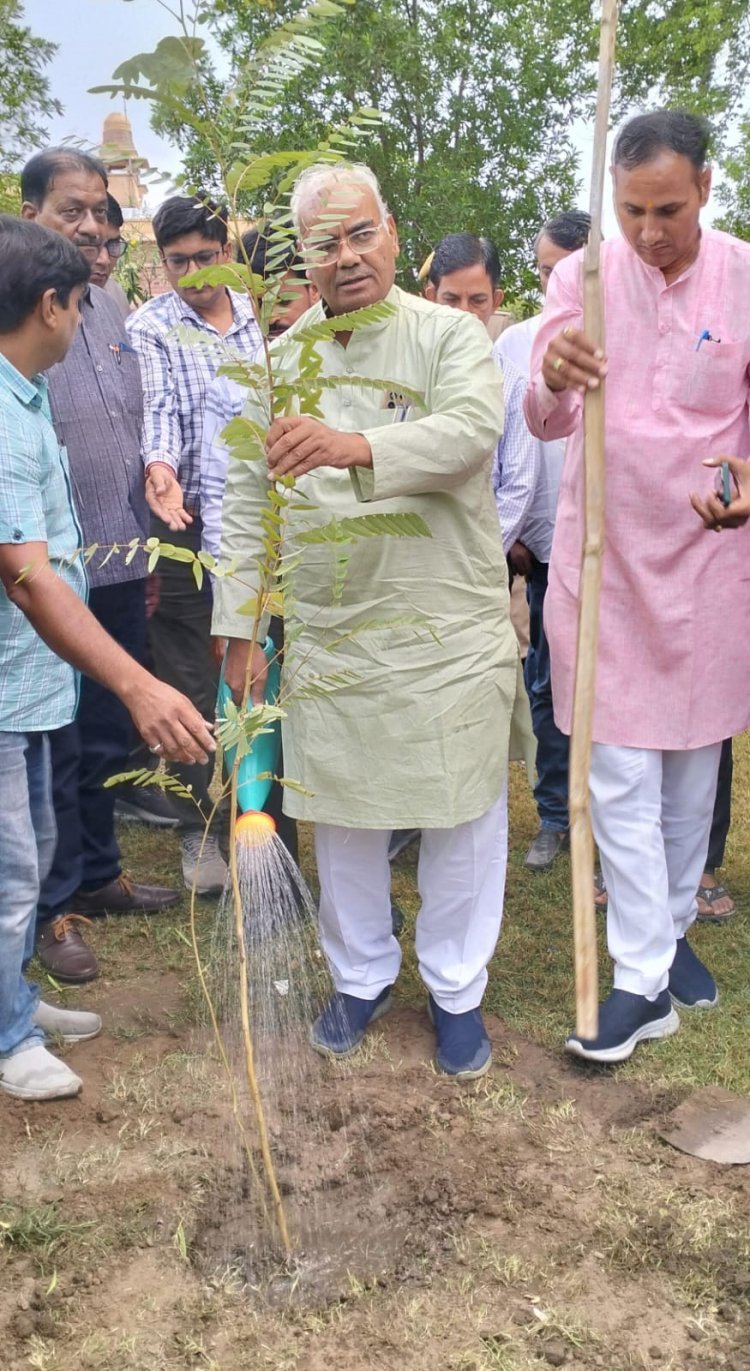 'One tree in the name of mother' Intensive tree plantation campaign-2024, District In-charge Minister planted trees in Ummed Garden, all the residents of the state should plant as many trees as possible - Panchayati Raj Minister