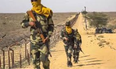 राजस्थान में हीट स्ट्रोक से BSF जवान शहीद, भीषण गर्मी में 50 डिग्री पार तापमान