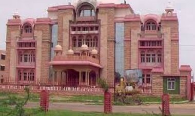 नगर निगम दक्षिण की बड़ी कार्यवाही: मसूरिया क्षेत्र से 169 आवारा पशु पकड़े गए